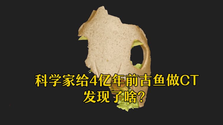 【科学家给4亿年前的古鱼做CT 发现了啥?】鸭嘴兽古鱼与现代有颌类动物是亲戚4亿年前的“鸭